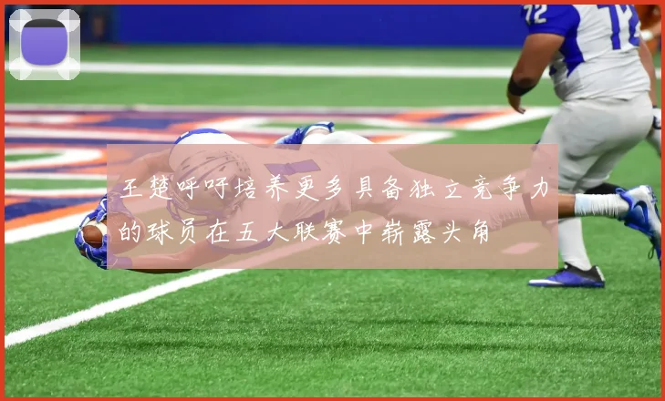王楚呼吁培养更多具备独立竞争力的球员在五大联赛中崭露头角