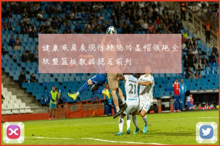 健康浓眉表现惊艳场均盖帽领跑全联盟篮板数据稳居前列