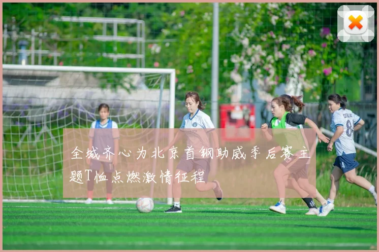 全城齐心为北京首钢助威季后赛主题T恤点燃激情征程